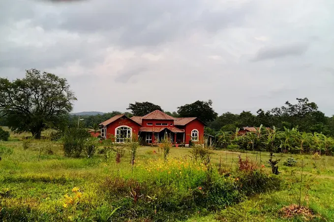 dandeli_ch.webp