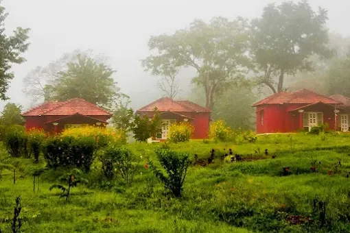 dandeli_ch1.webp
