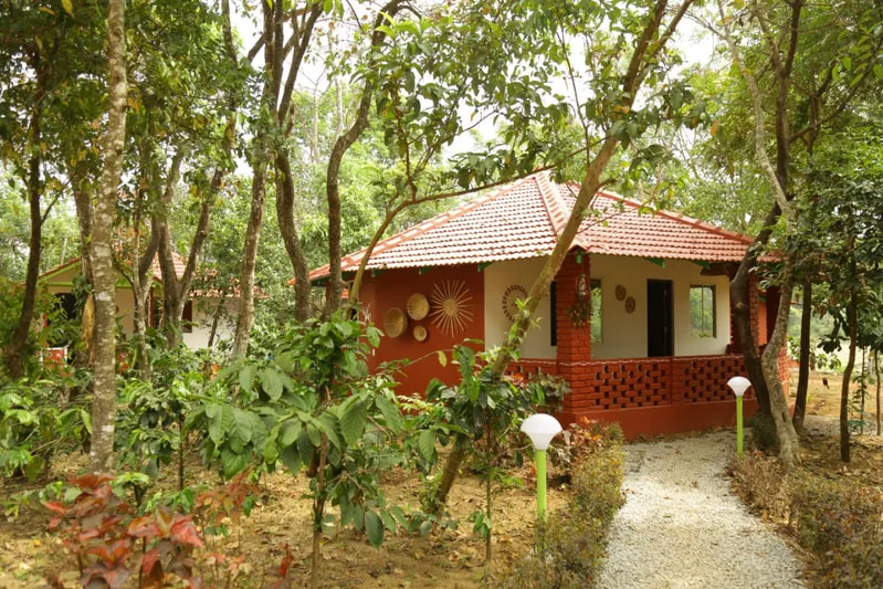dreamwood-homestay-10.jpg