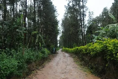 estate-view-homestay-5_8.jpg