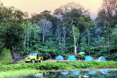 evergreen-country-7.jpg