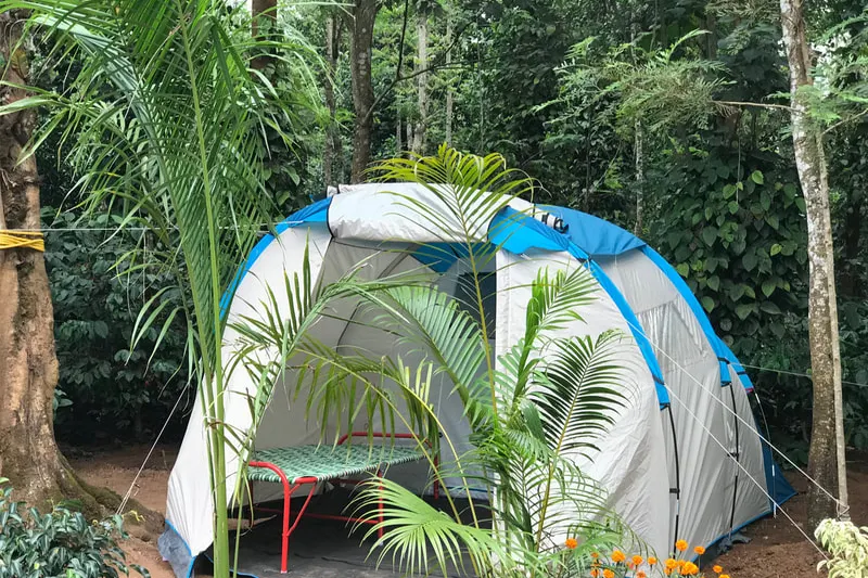 triwoods-tent-stay-champ.jpg
