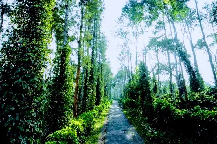 akki-homestay-48_1.jpg