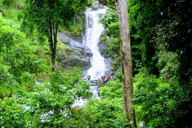 akki-homestay-64.jpg