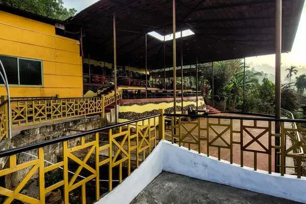 golden-fern-kalasa-ha-8.jpg