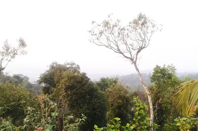 grass-village-homestay-12.jpg