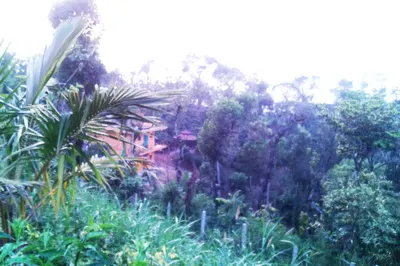 grass-village-homestay-13.jpg