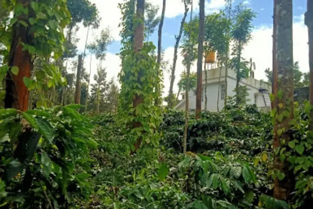 green-acres-chikmagalur-3.jpg