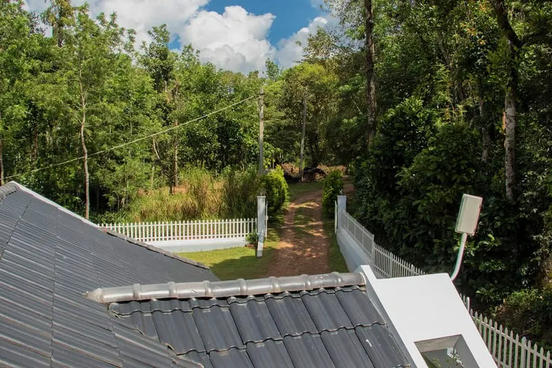 green-acres-ckm-6.jpg