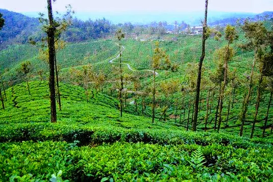 green-country-17.jpg