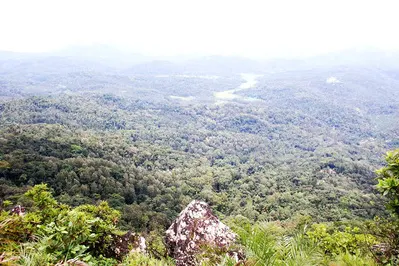 suraksha-homestay-21.jpg