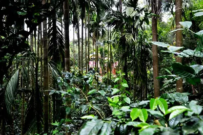 suraksha-homestay-18.jpg