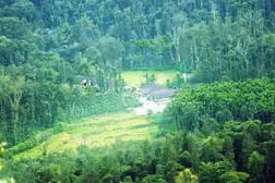 halladangadi-homestay-23.jpg