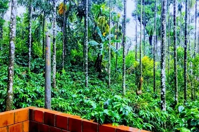 hallibylu-homestay-6_1.jpg