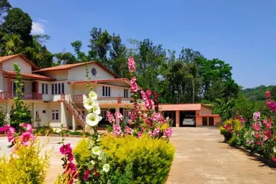 Cockatiel Homestay
