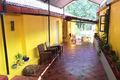 4391574.jpg