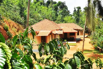 Holy Garden