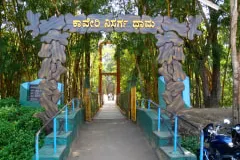 dsc00893-1.jpg