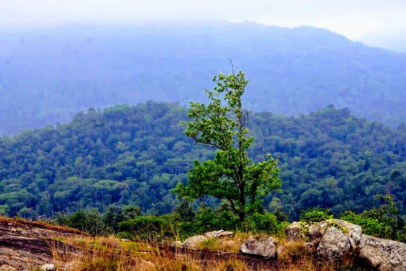 lime-light-chikmagalur-15.jpg