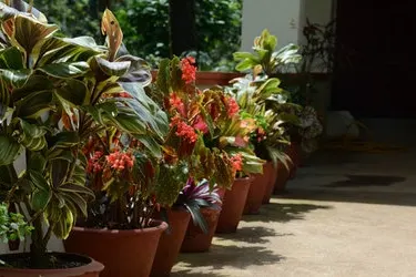 lalithadri-homestay-6.jpg