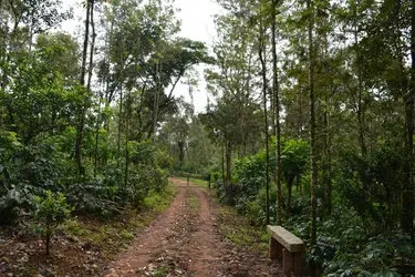 lalithadri-homestay-8.jpg