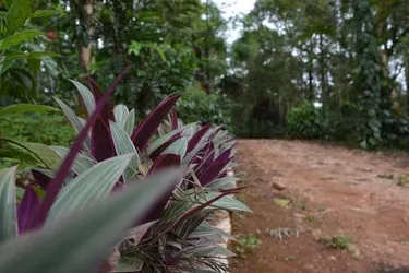 lalithadri-homestay-7.jpg