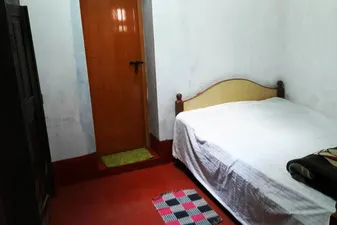 4599776_1.jpg