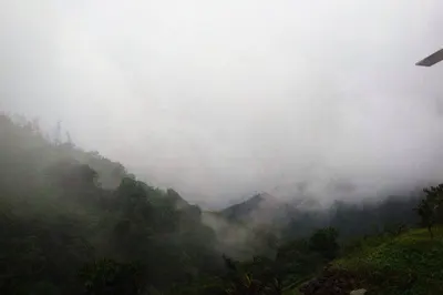 3605742_1.jpg