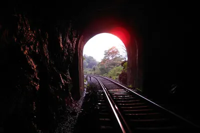 3675686.jpg