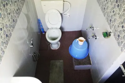 446152.jpg