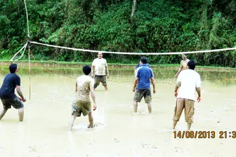 9636873.jpg