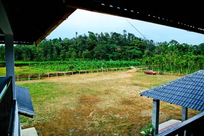 mill-house-20.jpg