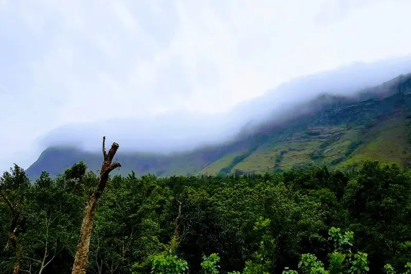mountain-farm-8.jpg