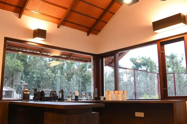 baarbara-home-1.jpg
