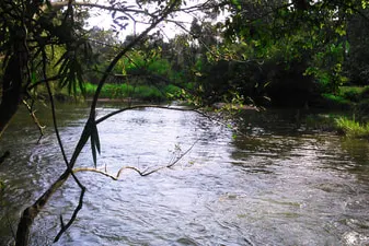 nature-hut-2.jpg