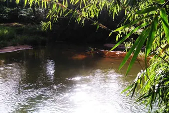 nature-hut-3.jpg