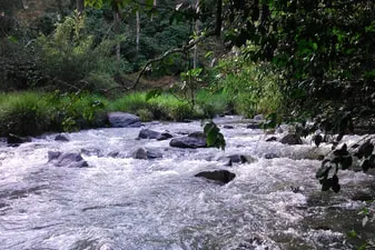 nature-hut-6.jpg