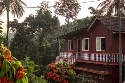 nature-hut-1.jpg