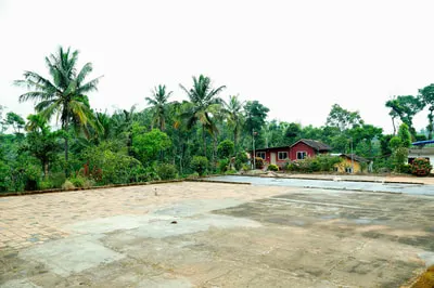 nature-hut-12.jpg