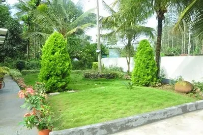 803248_1.jpg