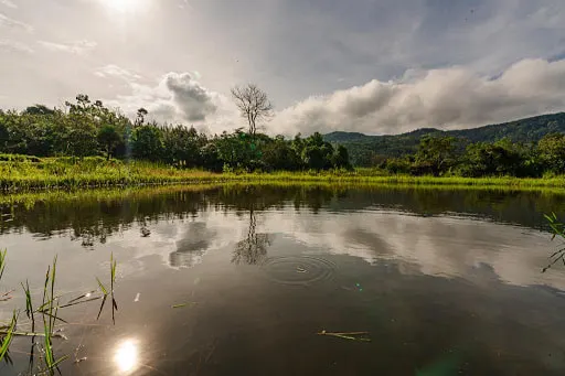 oak-cottage-homestay-advisor-chikmagalur-22.jpg