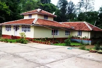 7991997.jpg