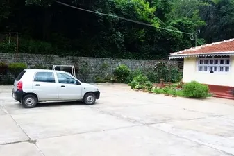 7133849.jpg