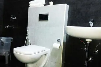 3203794.jpg