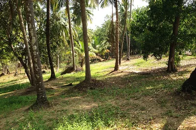 pratham-8_1.jpg