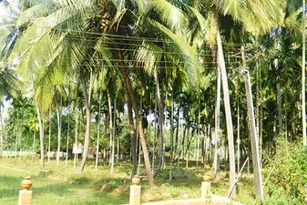 pratham-1_1.jpg
