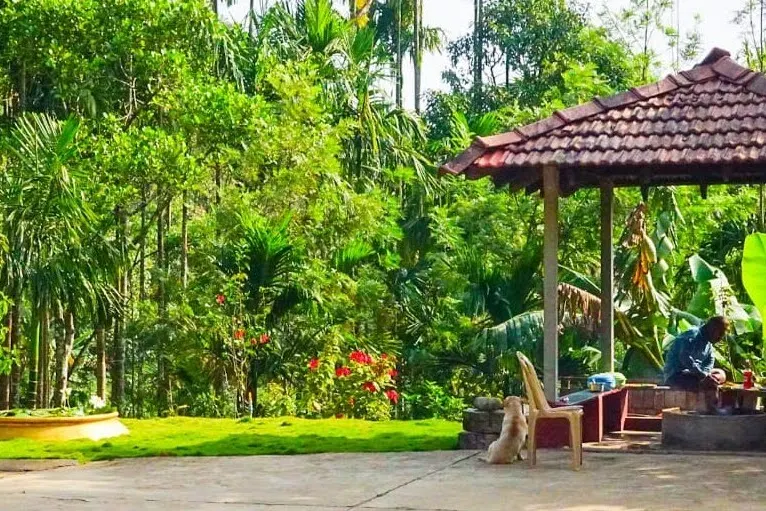 rani-jhari-homestay-advisor-mudigere-52.jpg