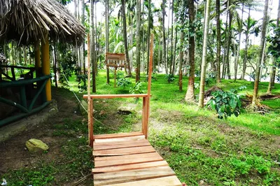 river-side-homestay-16.jpg