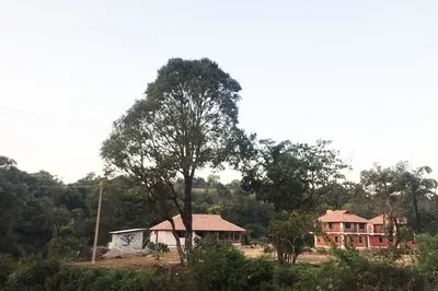 stream-edge-homestay-4.jpg