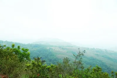guthi-30.jpg